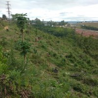 Ver anúncio COD ref#1075