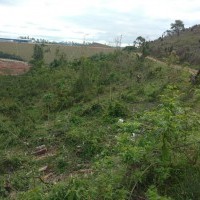 Ver anúncio COD ref#1075