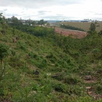 Ver anúncio COD ref#1075