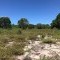 Foto ﾹ9 Lote/terreno Venda em Bahia, Porto Seguro, Av. Beira Mar