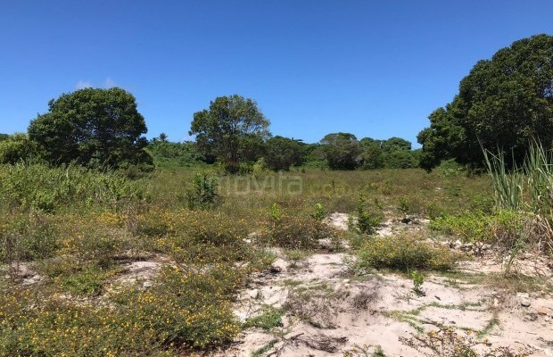Foto ﾹ9 Lote/terreno Venda em Bahia, Porto Seguro, Av. Beira Mar
