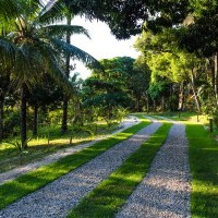 Ver anúncio COD ref#1200