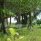 Foto ﾹ37 Casa Venda em Bahia, Porto Seguro, Av. Bahia, 949