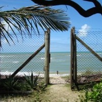 Ver anúncio COD ref#131