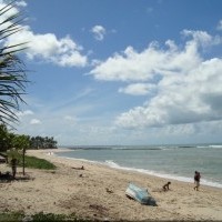 Ver anúncio COD ref#131