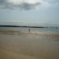 Ver anúncio COD ref#131