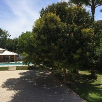 Ver anúncio COD ref#1310