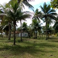 Ver anúncio COD ref#1314