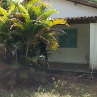 Ver anúncio COD ref#1314