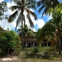 Ver anúncio COD ref#1314