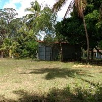 Ver anúncio COD ref#1314