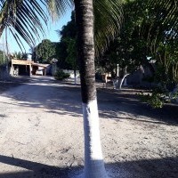 Ver anúncio COD ref#1330