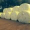 Foto ﾹ2 Fazenda/Sítio Venda em Mato Grosso, Paranatinga, á 140 km de Paranatinga