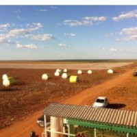 Ver anúncio COD ref#1342