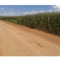 Ver anúncio COD ref#1342