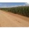 Foto ﾹ3 Fazenda/Sítio Venda em Mato Grosso, Paranatinga, á 140 km de Paranatinga