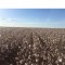Foto ﾹ4 Fazenda/Sítio Venda em Mato Grosso, Paranatinga, á 140 km de Paranatinga