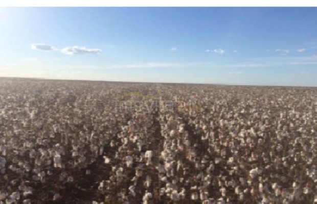 Foto ﾹ4 Fazenda/Sítio Venda em Mato Grosso, Paranatinga, á 140 km de Paranatinga