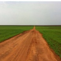 Ver anúncio COD ref#1342