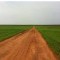 Foto ﾹ5 Fazenda/Sítio Venda em Mato Grosso, Paranatinga, á 140 km de Paranatinga
