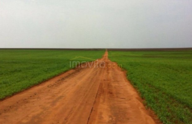 Foto ﾹ5 Fazenda/Sítio Venda em Mato Grosso, Paranatinga, á 140 km de Paranatinga