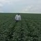 Foto ﾹ6 Fazenda/Sítio Venda em Mato Grosso, Paranatinga, á 140 km de Paranatinga