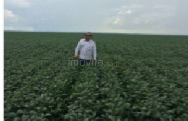 Foto ﾹ6 Fazenda/Sítio Venda em Mato Grosso, Paranatinga, á 140 km de Paranatinga