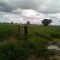 Foto ﾹ7 Fazenda/Sítio Venda em Mato Grosso, Barra dos Garças, Barra dos Garças