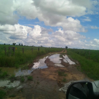 Ver anúncio COD ref#1343