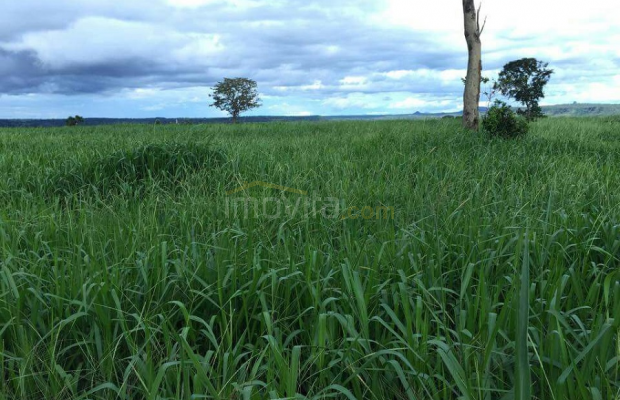 Foto ﾹ9 Fazenda/Sítio Venda em Mato Grosso, Barra dos Garças, Barra dos Garças