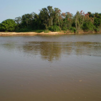 Ver anúncio COD ref#1345