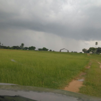 Ver anúncio COD ref#1345