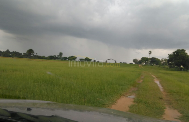 Foto ﾹ3 Fazenda/Sítio Venda em Mato Grosso, Rondonópolis, Rondonópolis