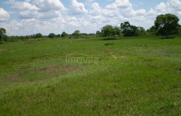 Foto ﾹ4 Fazenda/Sítio Venda em Mato Grosso, Rondonópolis, Rondonópolis