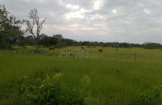 Foto ﾹ5 Fazenda/Sítio Venda em Mato Grosso, Rondonópolis, Rondonópolis