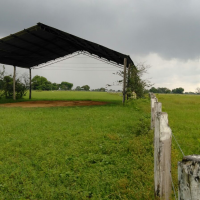 Ver anúncio COD ref#1345