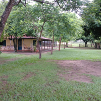 Ver anúncio COD ref#1345