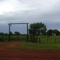 Ver anúncio COD ref#1346