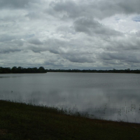 Ver anúncio COD ref#1346