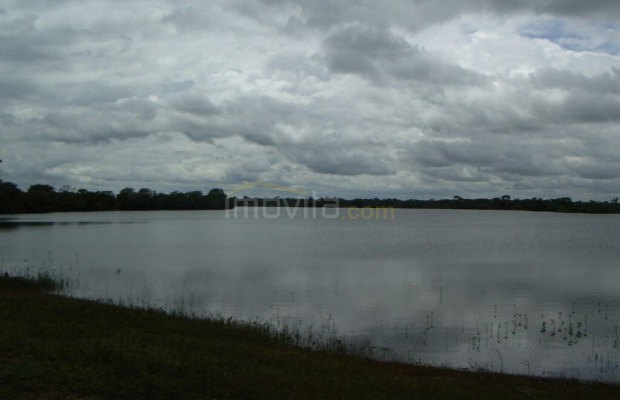 Foto ﾹ2 Fazenda/Sítio Venda em Mato Grosso, São Felix do Araguaia, São Feliz do Araguaia