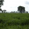 Foto ﾹ3 Fazenda/Sítio Venda em Mato Grosso, São Felix do Araguaia, São Feliz do Araguaia