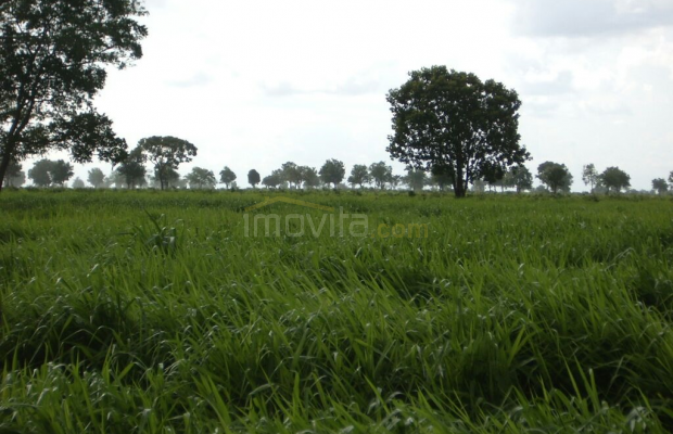 Foto ﾹ3 Fazenda/Sítio Venda em Mato Grosso, São Felix do Araguaia, São Feliz do Araguaia
