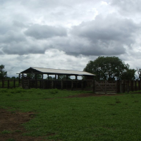 Ver anúncio COD ref#1346