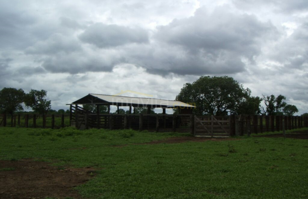 Foto ﾹ4 Fazenda/Sítio Venda em Mato Grosso, São Felix do Araguaia, São Feliz do Araguaia