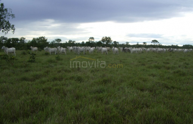 Foto ﾹ7 Fazenda/Sítio Venda em Mato Grosso, São Felix do Araguaia, São Feliz do Araguaia