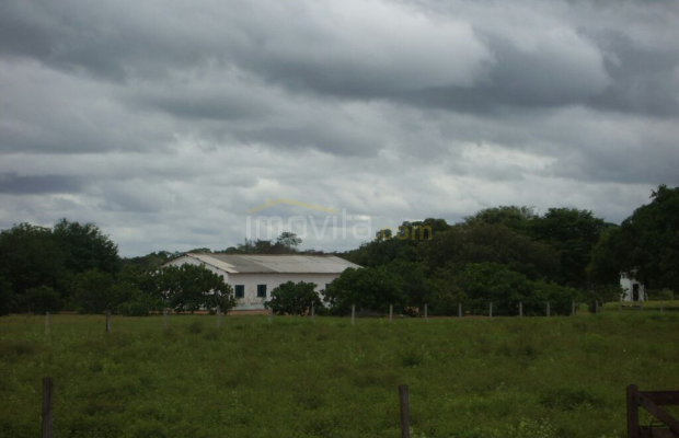 Foto ﾹ11 Fazenda/Sítio Venda em Mato Grosso, São Felix do Araguaia, São Feliz do Araguaia
