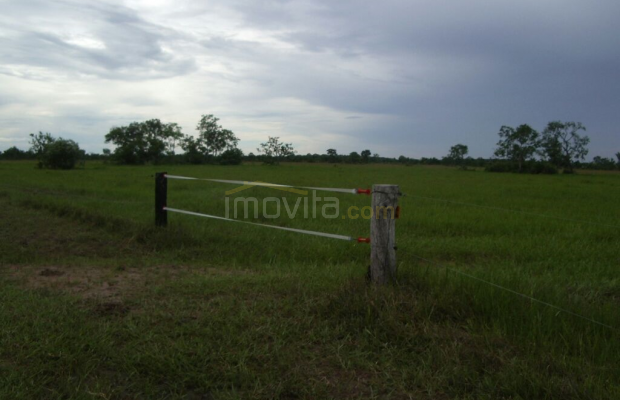 Foto ﾹ14 Fazenda/Sítio Venda em Mato Grosso, São Felix do Araguaia, São Feliz do Araguaia