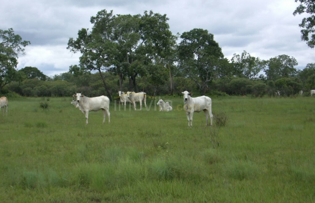 Foto ﾹ15 Fazenda/Sítio Venda em Mato Grosso, São Felix do Araguaia, São Feliz do Araguaia
