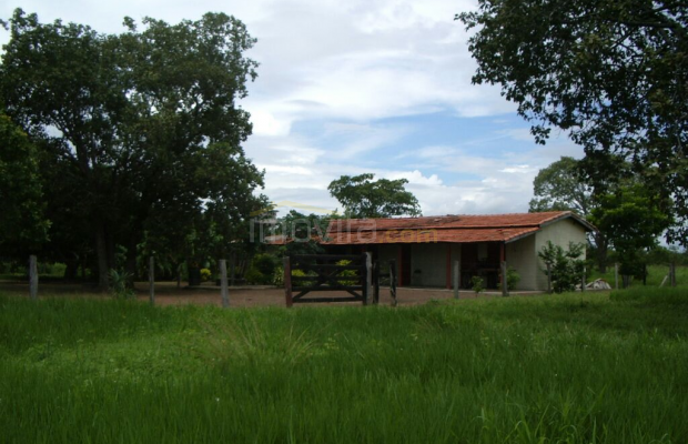 Foto ﾹ19 Fazenda/Sítio Venda em Mato Grosso, São Felix do Araguaia, São Feliz do Araguaia