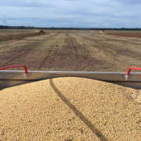 Ver anúncio COD ref#1347